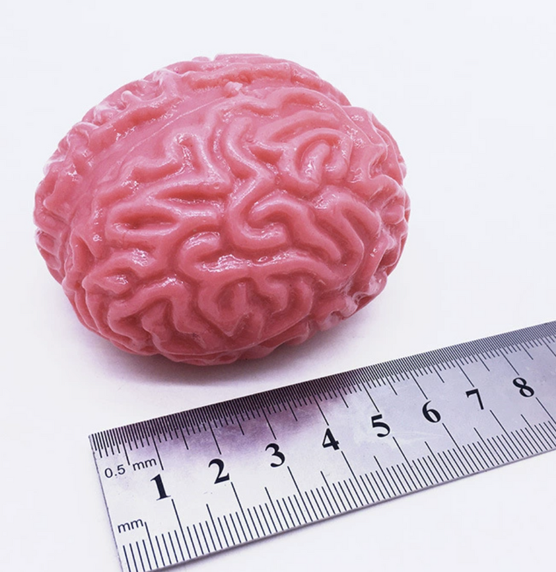 Brain Stress Ball